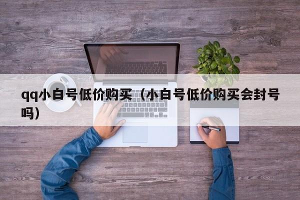 qq小白号低价购买（小白号低价购买会封号吗）