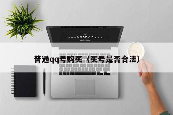 普通qq号购买（买号是否合法）