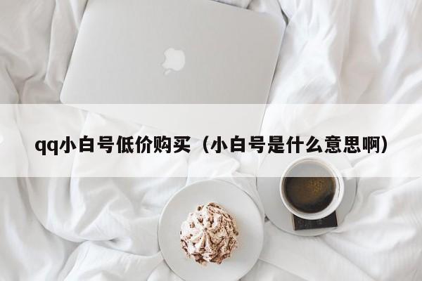qq小白号低价购买（小白号是什么意思啊）