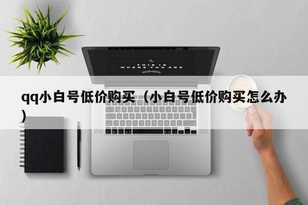 qq小白号低价购买（小白号低价购买怎么办）