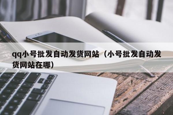 qq小号批发自动发货网站（小号批发自动发货网站在哪）