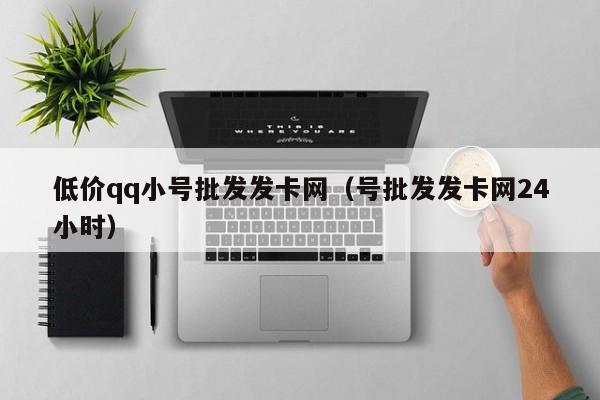 低价qq小号批发发卡网（号批发发卡网24小时）