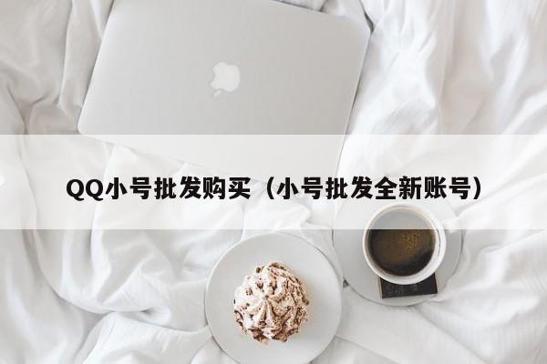 QQ小号批发购买（小号批发全新账号）