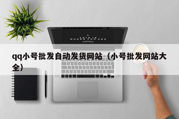 qq小号批发自动发货网站（小号批发网站大全）