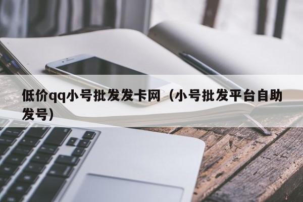 低价qq小号批发发卡网（小号批发平台自助发号）