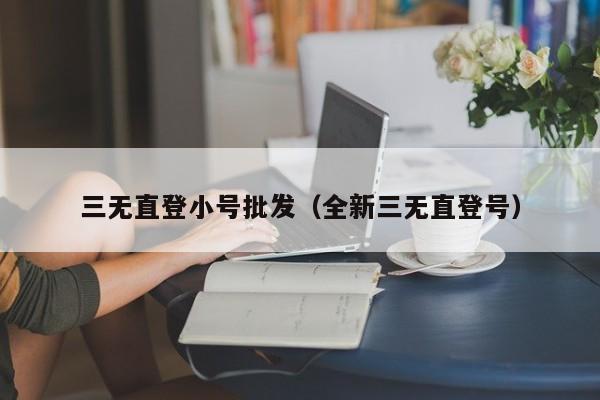 三无直登小号批发（全新三无直登号）