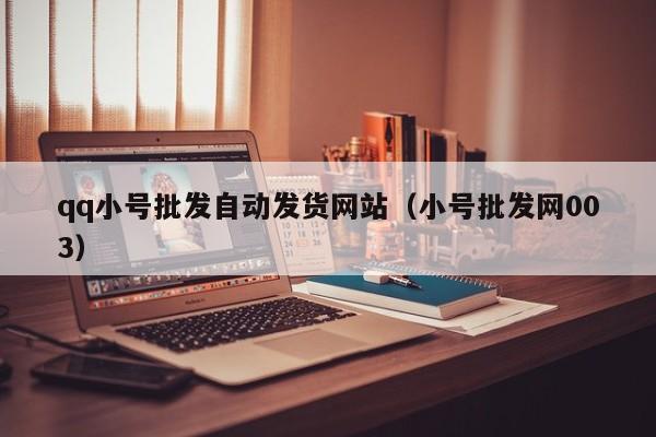 qq小号批发自动发货网站（小号批发网003）