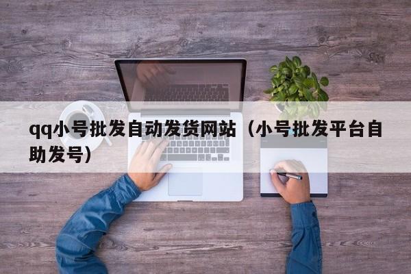qq小号批发自动发货网站（小号批发平台自助发号）
