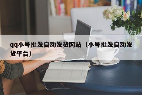 qq小号批发自动发货网站（小号批发自动发货平台）